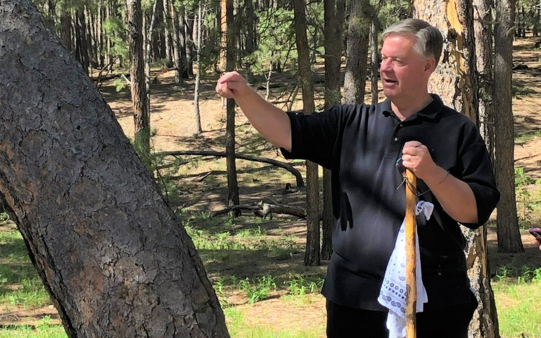 Tour/Hike: Native American Culturally Modified Trees Hike