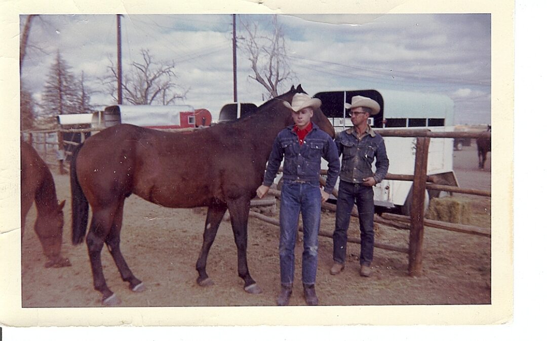 CATTLE, RANCH HANDS and HARD WORK on the PHIPPS RANCH in the 1960’s